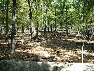 Tract A Rocky Ridge Rd, Mountain Home, AR 72653 - photo 5