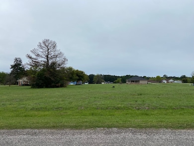 45 Meadowview Dr, Westwood Shores, TX 75862 - photo 3