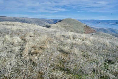 TBD Spur Rd, Lewiston, ID 83501 - photo 7