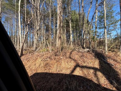 4306 Keno Rd, Laurel Fork, VA 24352 - photo 5