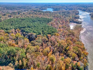 1073 Boyds Mill Pond Rd, Laurens, SC 29360 - photo 6