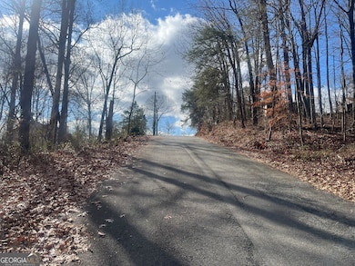 0 Tomahawk Terrace unit 10653462, Gainesville, GA 30506 - photo 4