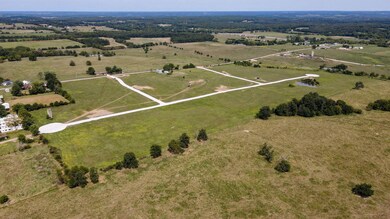 Tract #6 Highway Ee, Jackson Township, MO 65644 - photo 6