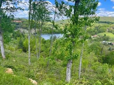 Lot 23