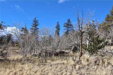 176 Musket Ln, Como, CO 80432 - photo 6