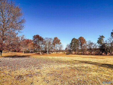 223 Sugar Tree Ln, Pulaski, TN 38478 - photo 7