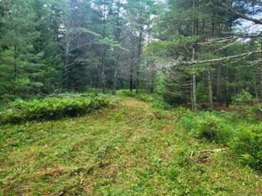 0 Shady Ln, West Bath, ME 04530 - photo 7