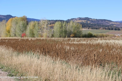 TBD S 5000 W, Driggs, ID 83422 - photo 5