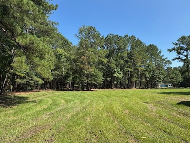 1694 Fish Rd unit 1-5, Ridgeville, SC 29472 - photo 5