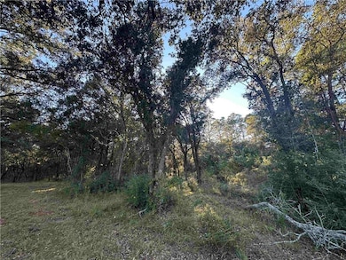 0 Benton Rd, Foley, AL 36535 - photo 4