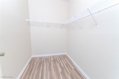 Spacious closet with light wood-style floors
