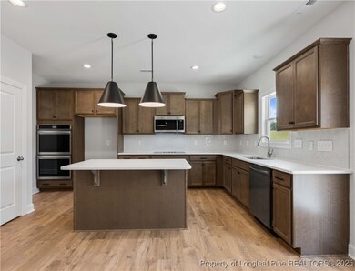 459 Pinnacle Ct, Five Points, NC 28376 - photo 3