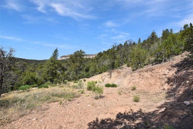 0 Eagle Heights North Tract: 1a1 unit 202503184, Jemez Springs, NM 87025 - photo 2