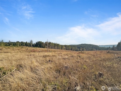 597 Brown, Adna, WA 98522 - photo 6