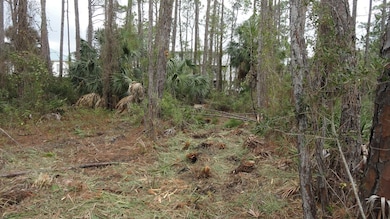 964 E Pine Ave, St. George Island, FL 32328 - photo 2