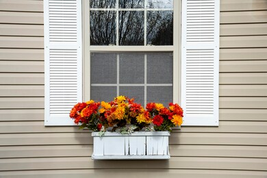 Front Window