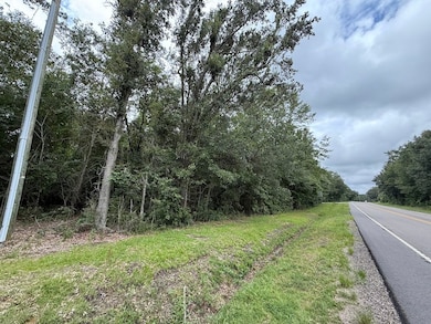 Summer Dr unit LotWP002, Barnwell, SC 29812 - photo 4