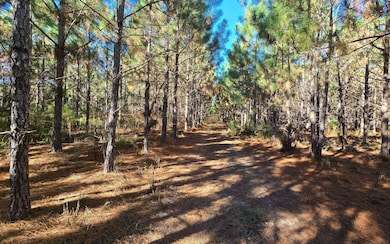 TBD-4 221st Rd, Dowling Park, FL 32060 - photo 5