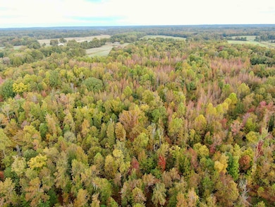 0 Faye Barfield Rd, Henning, TN 38041 - photo 6