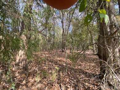 00 N Lily and Hwy 60 Hwy, Houston, AR 72070 - photo 7