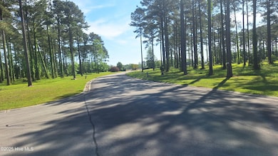 156 Dawson Creek Blvd, Oriental, NC 28571 - photo 7