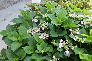 04FrontFlowers