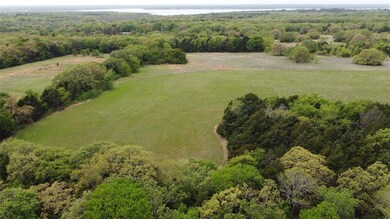 TBD Clountz Ln, Pottsboro, TX 75076 - photo 6