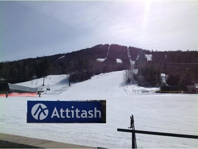 0 Molly Philbrick Rd unit 4440003, Effingham, NH 03882 - photo 7