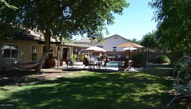BACKYARD 02
