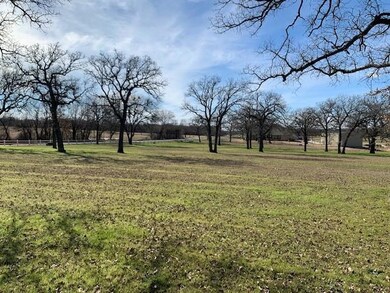 502 Hlavek Rd, Decatur, TX 76234 - photo 5