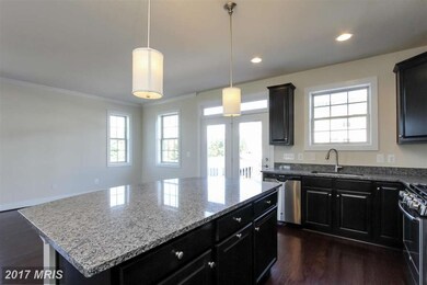 46682 Joubert Terrace, Potomac Falls, VA 20165 - photo 5