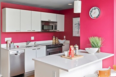 Sierra & Tango Condominiums unit 316, Cambridge, MA 02141 - photo 4