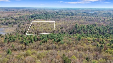 0 Island Rd unit S1604113, Albion, NY 13493 - photo 4