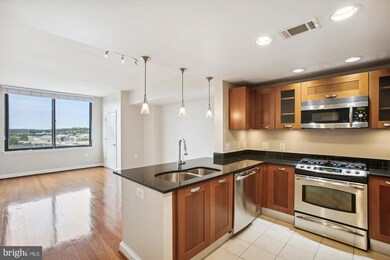 Midtown Alexandria Station Condominiums unit 1618, Alexandria, VA 22303 - photo 3