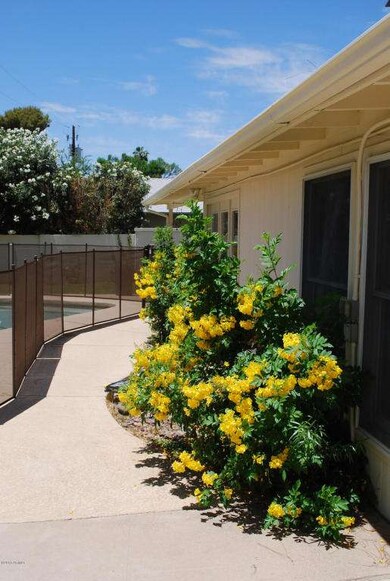 view from back walkway