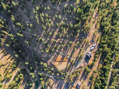 31635 E Ringneck Ln, Davenport, WA 99122 - photo 3