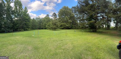 0 Clyde Place unit 10529703, Dublin, GA 31021 - photo 7