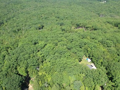 Map 09 Lot 19 Rd, Hillsborough, NH 03244 - photo 2