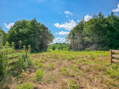 0 Double Branch Rd unit RTC3050045, Columbia, TN 38401 - photo 6