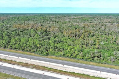 Alligator Alley, Naples, FL 34117 - photo 6
