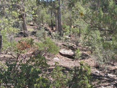 Sierra Pines (3)