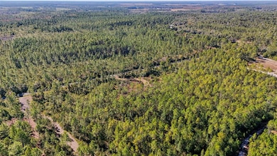 0 NE 212th St unit MFRG5104432, Fort McCoy, FL 32134 - photo 7