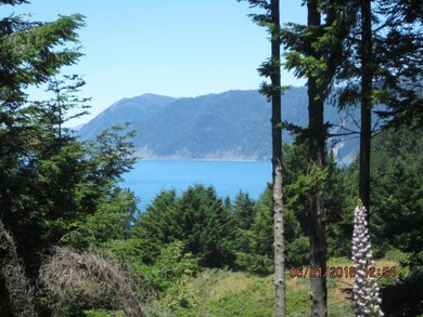Ocean view