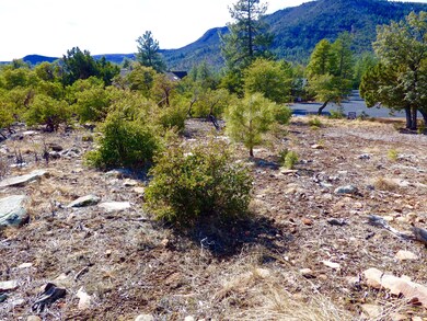 153 Windsong Ln, Pine, AZ 85544 - photo 7