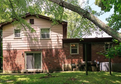 RealTourCast M Weisberg Mosswood (3 of