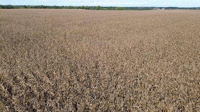 0 Nuthatch Ave unit 25860385, Bloomfield, IA - photo 4