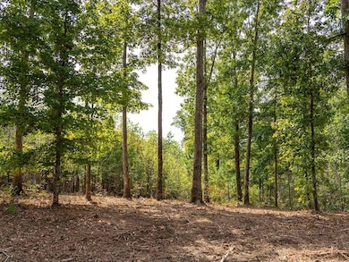 79 Tennessee 232, Dover, TN 37058 - photo 4