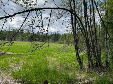 NNA High Meadow Dr, Priest River, ID 83856 - photo 4