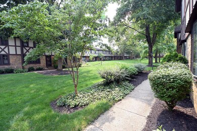 4 View From Front Porch