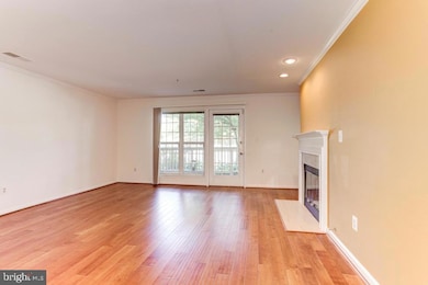 6101 Wigmore Ln unit C, Alexandria, VA 22315 - photo 4